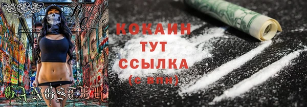 МДПВ Михайлов