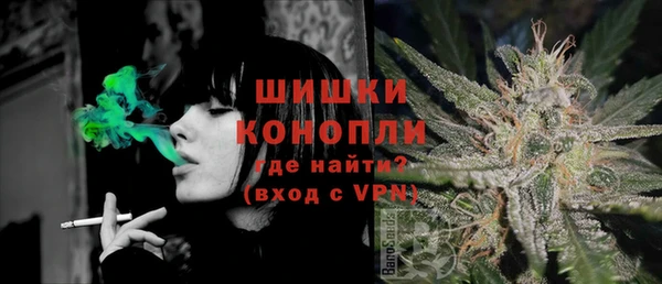 МДПВ Михайлов